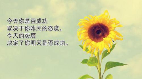 虽然他的身高只有八十厘米，但是，劣势也能成为优势