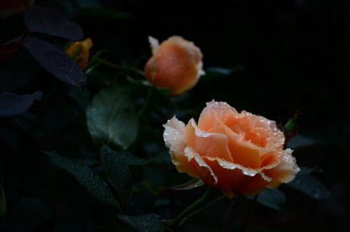 简洁是一种智慧