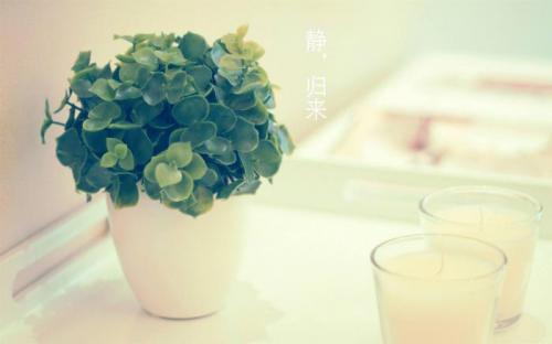 规则比速度更重要
