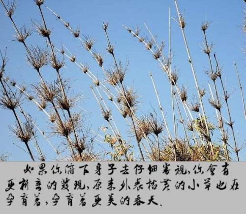 没有必要与错误较真