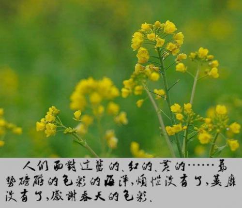 生活因为爱才美好，亲情是快乐和幸福的源泉