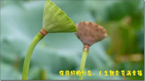 乐意为朋友付出才能赢得友谊