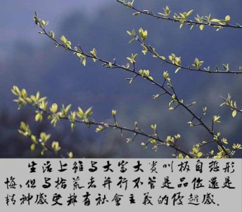 彼此让一步路会更宽