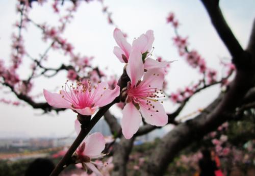 教孩子做事要爱劳动很重要：热爱劳动是孩子人生幸福的源泉
