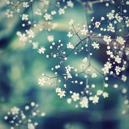 宽容可以融化愤怒的冰雪