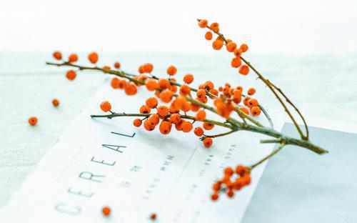 关于宽容的小故事：宽容的大帝，王者的风范