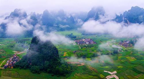 生活若是没有色彩，就给自己撒点阳光