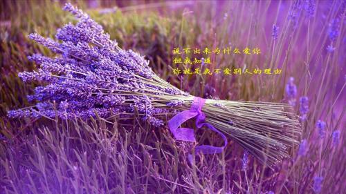 注重细节的事例：从卑微的小事做起