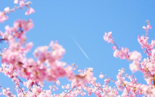 小故事大道理：不同的结果