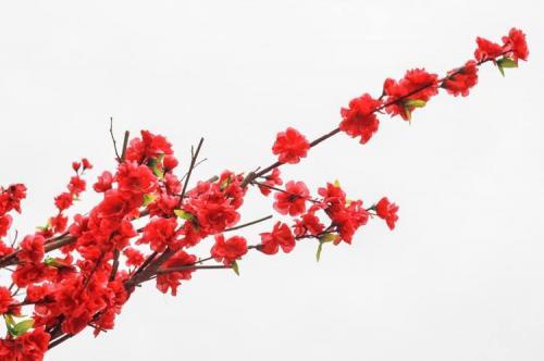 古人的哲理小故事：宋人的秘方