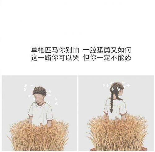 再苦再疼，你可以哭，但不能怂。