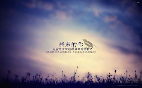 寻找谷仓里的金表