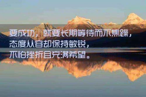 致富要看准机遇：白毛猪与黑毛猪的故事