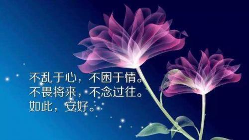 直面挫折：纵有疾风起，人生不言弃