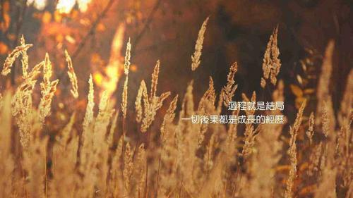 天赋，就是你看不见的努力