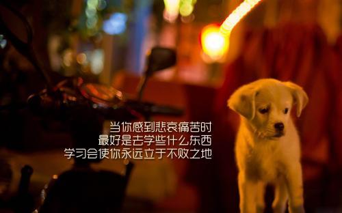关于读书：你的气质里，藏着你读过的书