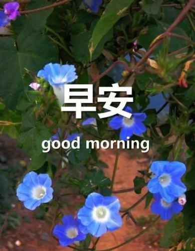 给人正能量的小故事5则