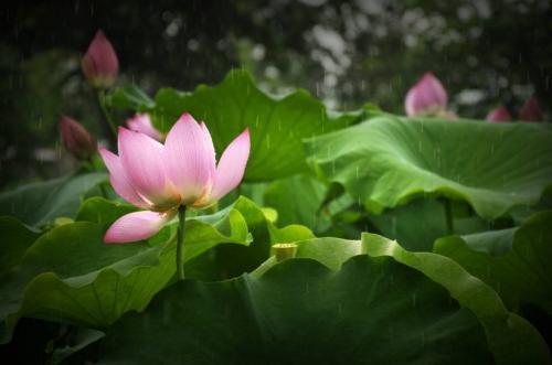 我们最大的敌人，恰恰是自己