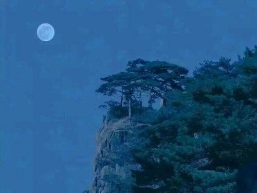 张玄之反讥邻居