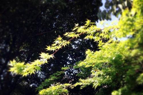 关于情绪管理：你怎么对待坏情绪，就怎么度过一生