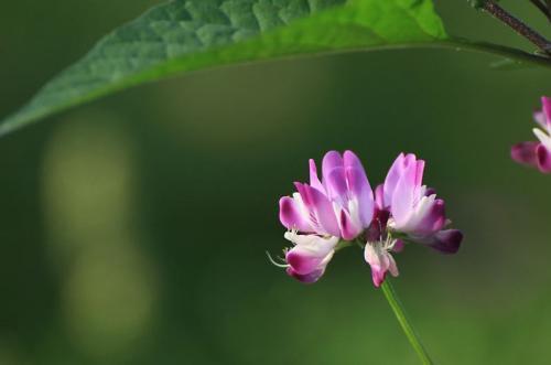 小故事大道理5则含道理