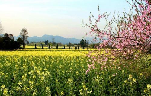 寻找捷径走向成功：保尔、盖茨和小牧童的故事