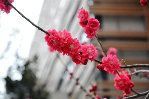 我相信我能