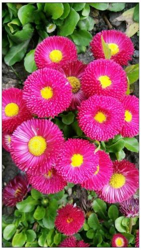 早会小故事3则含感悟