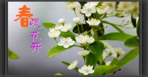 传播正能量的小故事两则含感悟