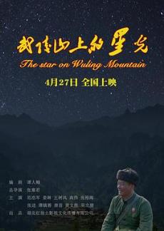 武陵山上的星光剧情介绍