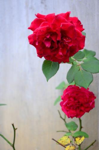 智慧小故事3则含感悟