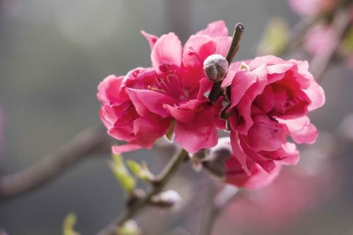 小故事大道理两则含道理