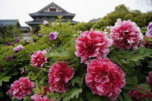 名人机智小故事两则含感悟