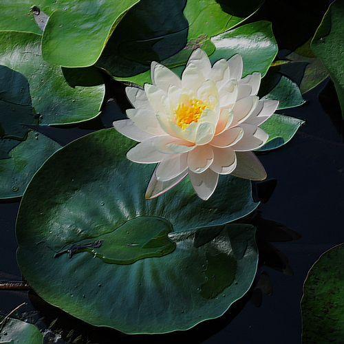 不浮躁、心态平和的小故事4则含感悟