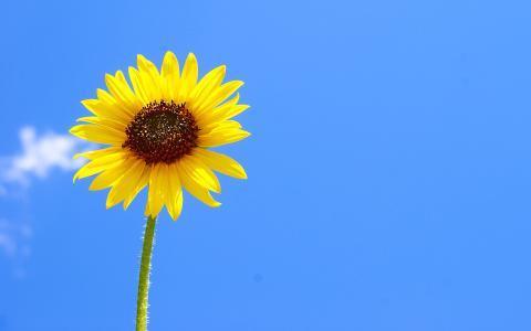 宽容：退一步海阔天空