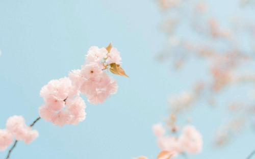 充满正能量的小故事两则含感悟