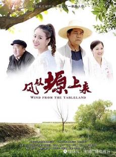风从塬上来剧情介绍