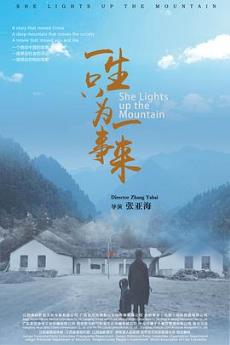 一生只为一事来剧情介绍