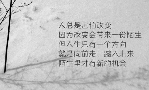 人生励志箴言语录大全