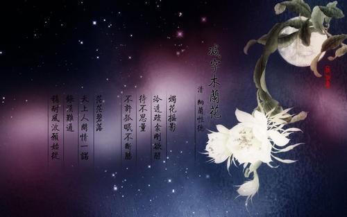 纳兰性德词经典语录