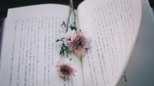富有哲理的段落摘抄及出处 励志美文摘抄精选