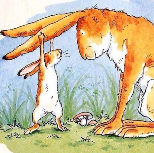 猜猜我有多爱你读后感
