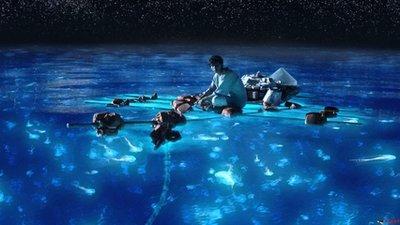 《少年派的奇幻漂流》影评精选2000字
