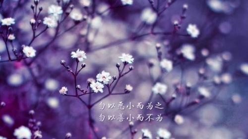 《骆驼祥子》读后感600字