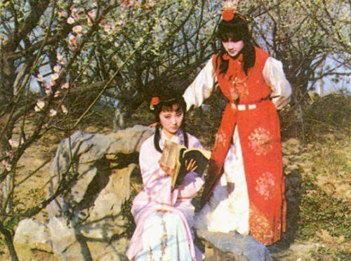 《红楼梦》读后感300字五篇