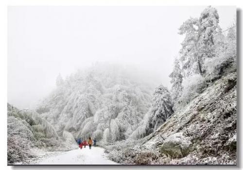 《雪国》读后感400字精选三篇