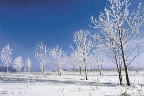 《雪国》读后感1000字精选三篇
