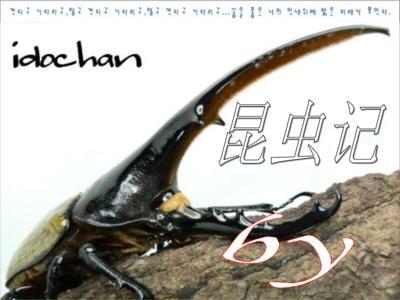 《昆虫记》读后感800字精选三篇