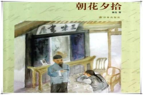 《朝花夕拾》读后感300字精选五篇