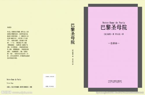 《巴黎圣母院》读后感500字精选篇